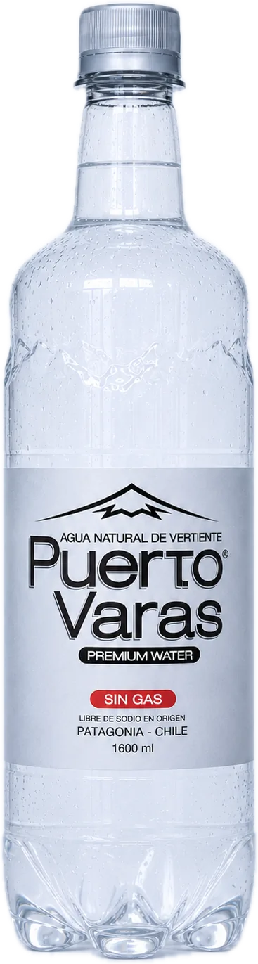 PET 1.6 L sin gas Agua Puerto Varas